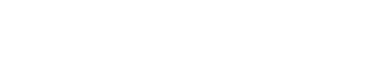 FoX EYES logo